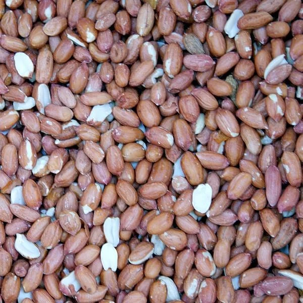 Ongepelde Pinda / Strooipinda's - 12 Kg - Afbeelding 2