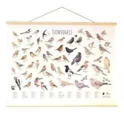Wanddoek Tuinvogels
